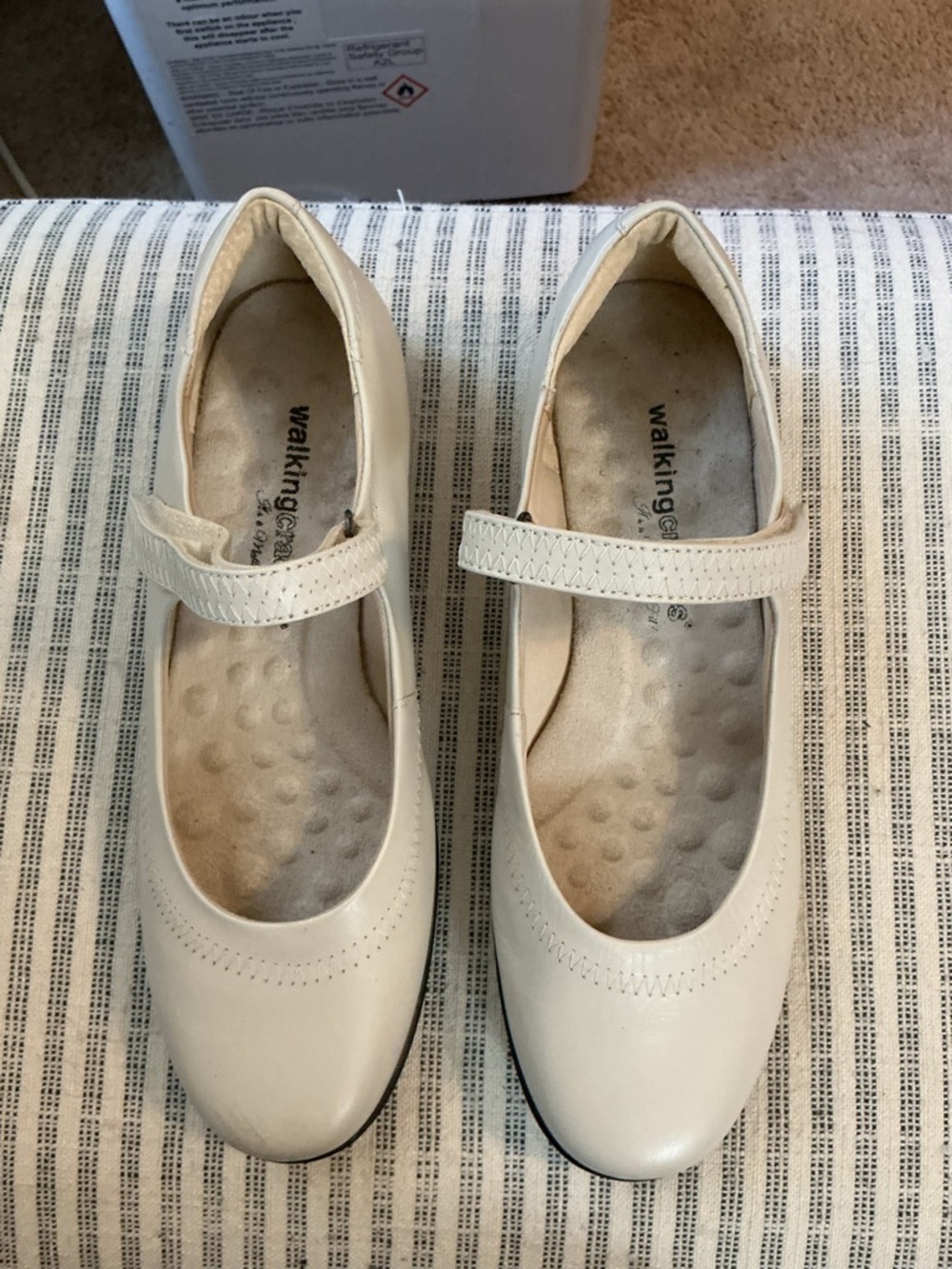 🌸Walking Cradles Bone Leather Mary Jane Flats with Strap